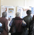 L’exposition sur l’imagerie médiévale attire 700 visiteurs