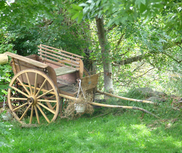 La carriole à cheval (deux roues)