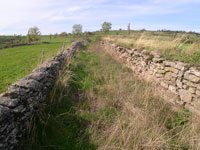 Chemins pastoraux bordés de pierres