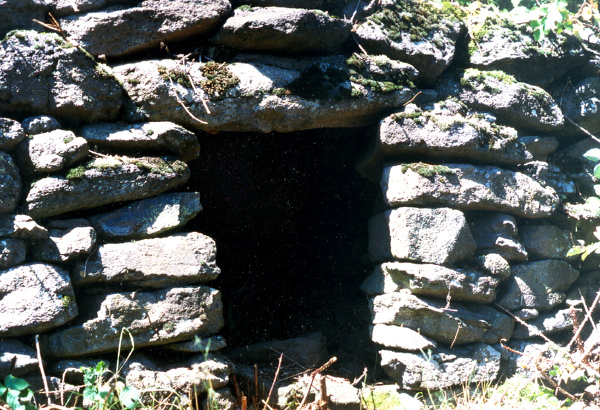 Des constructions de tradition néolithique