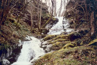 Les cascades du ruisseau de l’église
