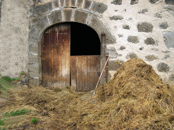 Le fumier de ferme, l’engrais essentiel des terres (4)