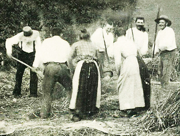 Le fléau, instrument rudimentaire mais décisif (1)